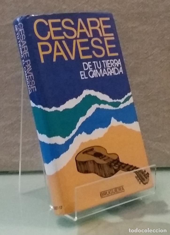 Libros: De tu tierra. El camarada - Cesare Pavese - Foto 1