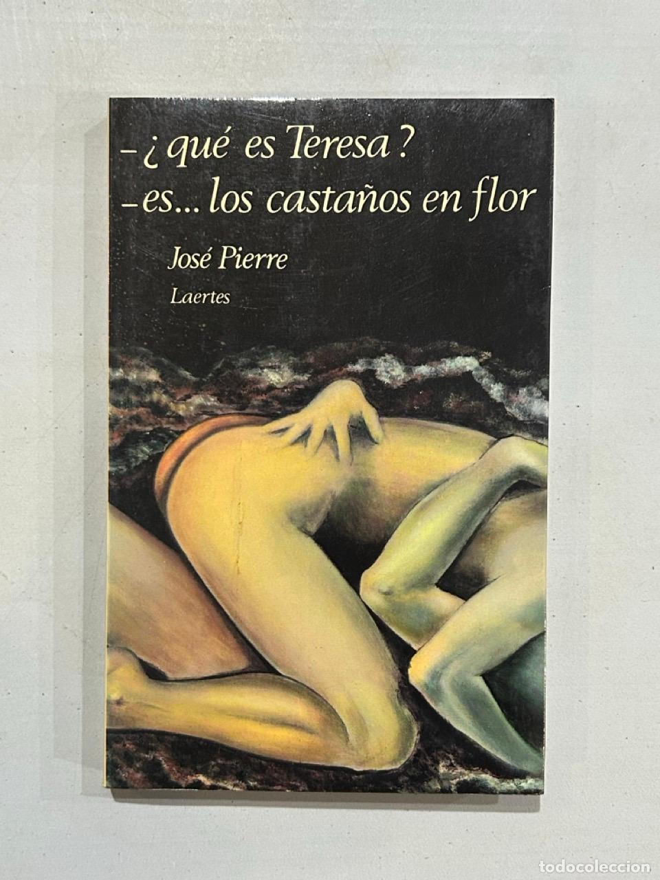 Libros: Jos&eacute; Pierre - &iquest;Qu&eacute; es Teresa? - Foto 1