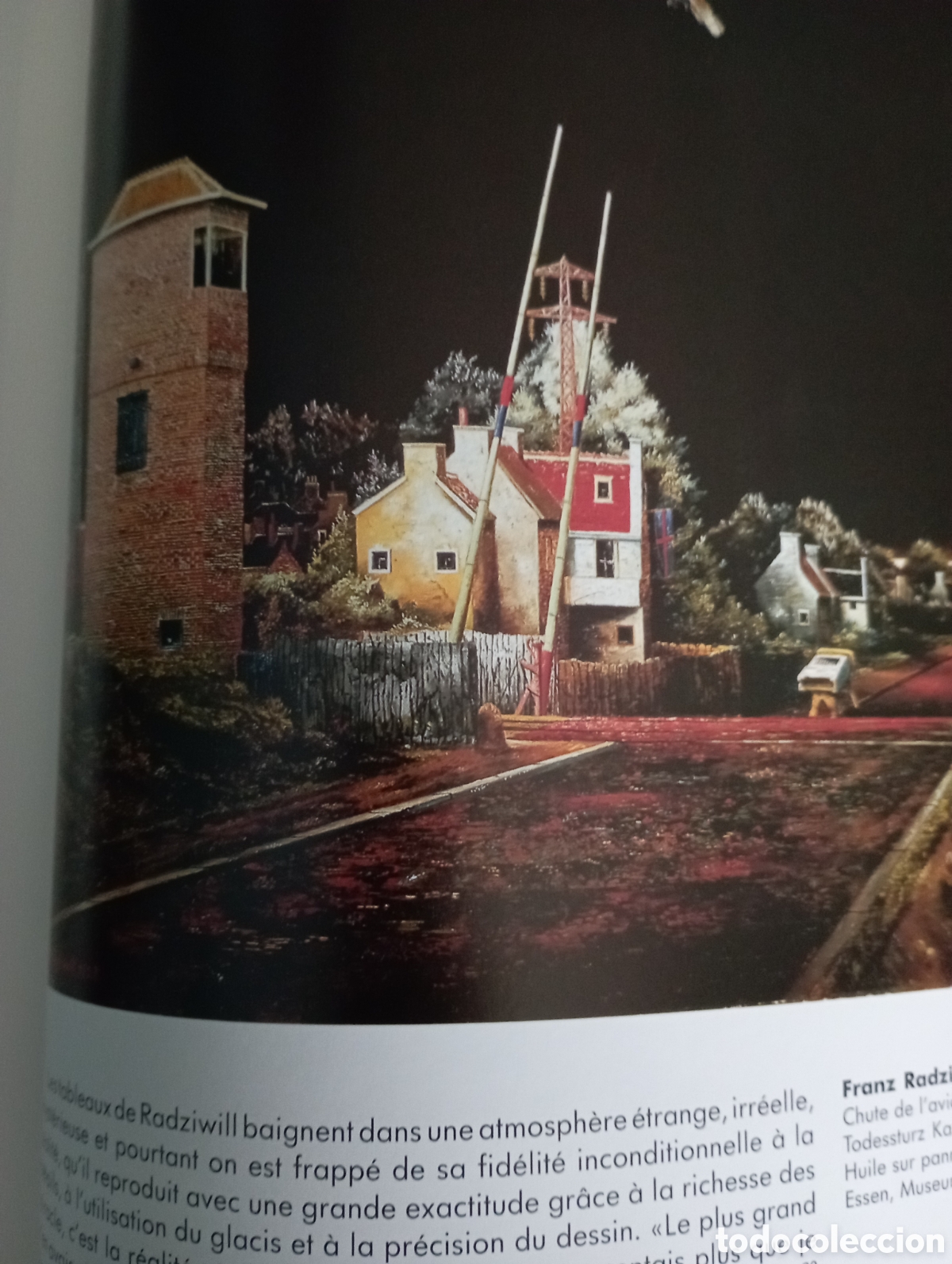 Libros: Nouvelle Objectivit&eacute;. Sergiusz Michalski. Taschen. - Foto 15