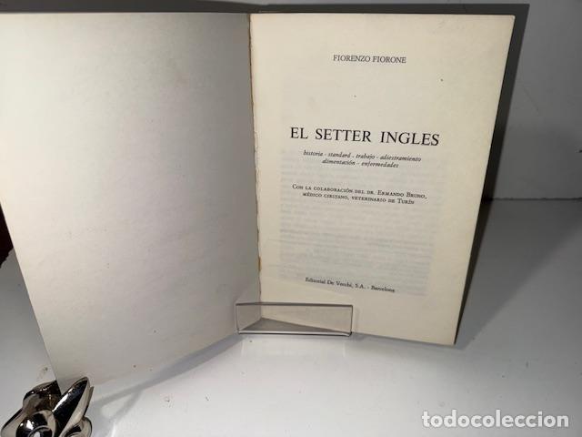 Libros: EL SETTER INGLES FLORENZO FIORONE - Foto 3