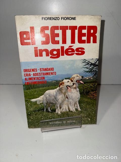 Libros: EL SETTER INGLES FLORENZO FIORONE - Foto 1