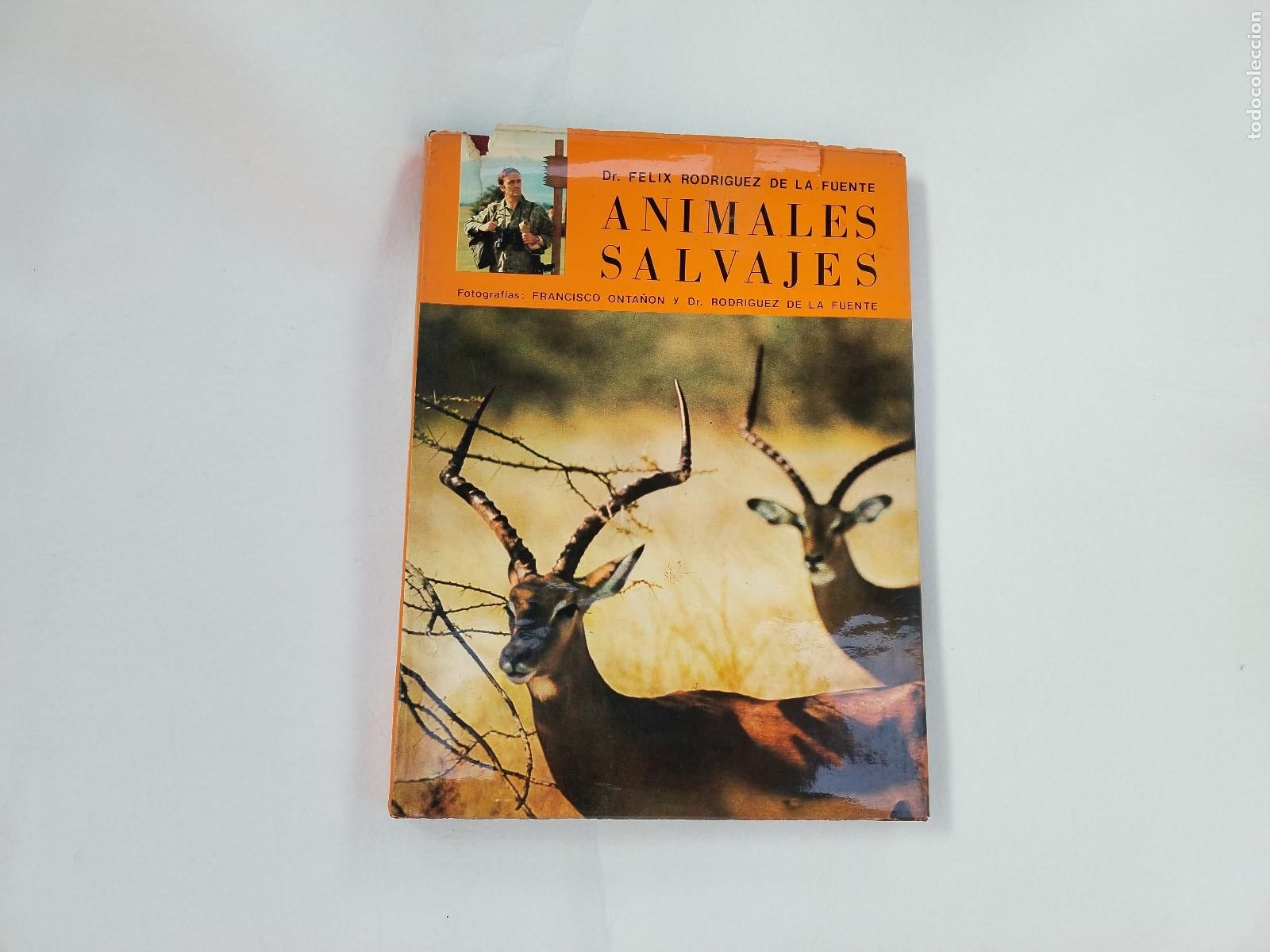 Libros: F&Eacute;LIX RODR&Iacute;GUEZ DE LA FUENTE - ANIMALES SALVAJES - 2&ordf; EDICI&Oacute;N 1976 - c177