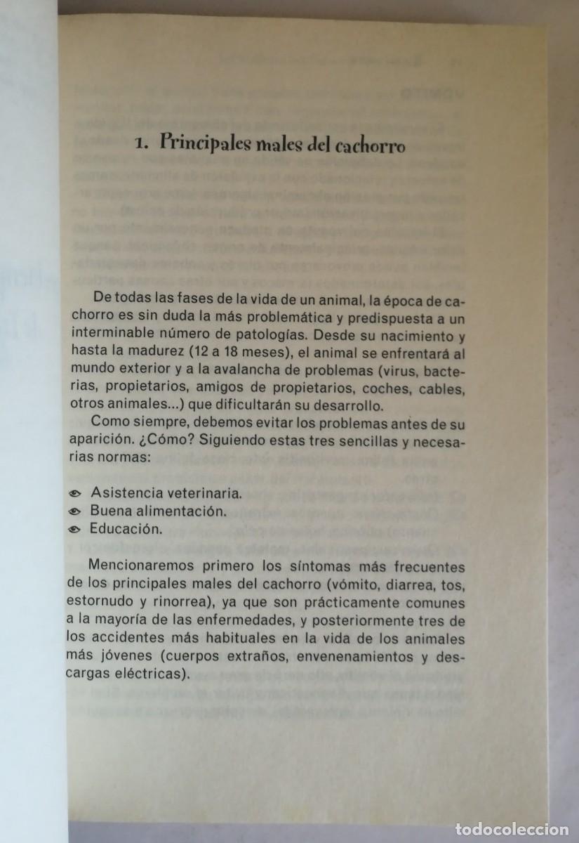Libros: MAS QUE AMIGOS, NURIA ROCA CARLOS RODRIGUEZ - Foto 7