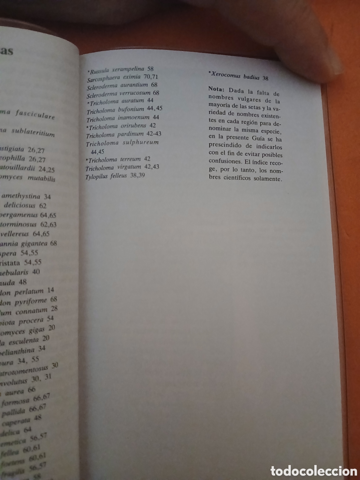 Libros: SETAS VENENOSAS � PLANTAS MEDICINALES - EDMUND GARNWEIDNER - Foto 4