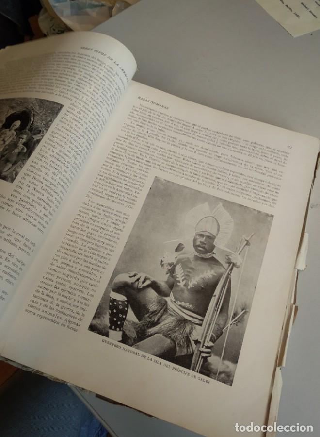 Libros: RAZAS HUMANAS. HUTCHINSON. GREGORY. LYDEKKEE - - Foto 11