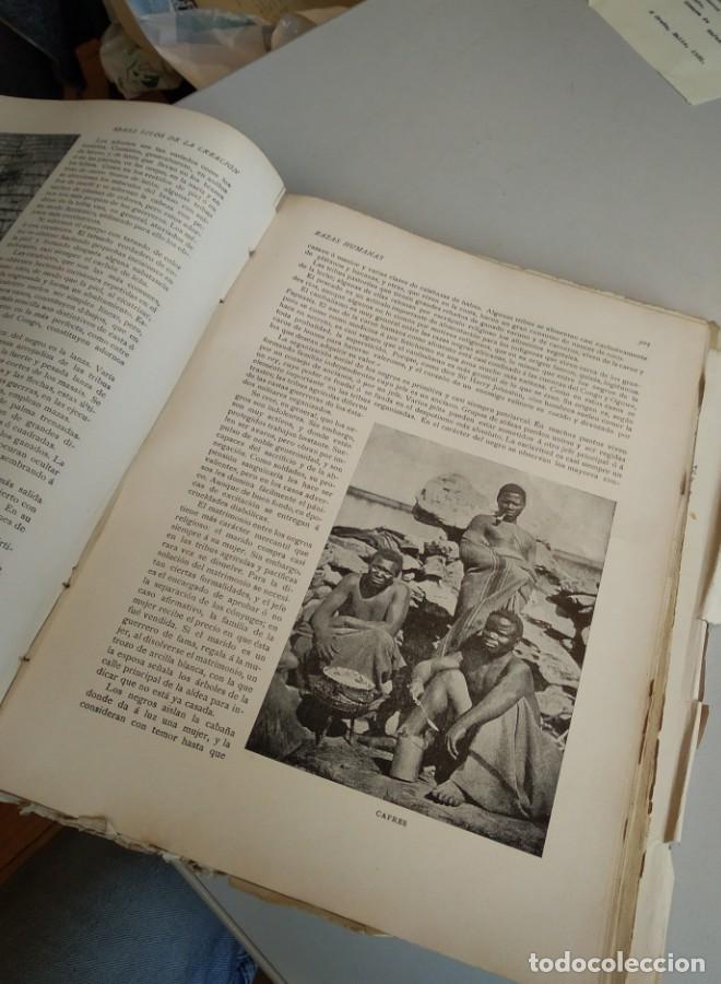 Libros: RAZAS HUMANAS. HUTCHINSON. GREGORY. LYDEKKEE - - Foto 14