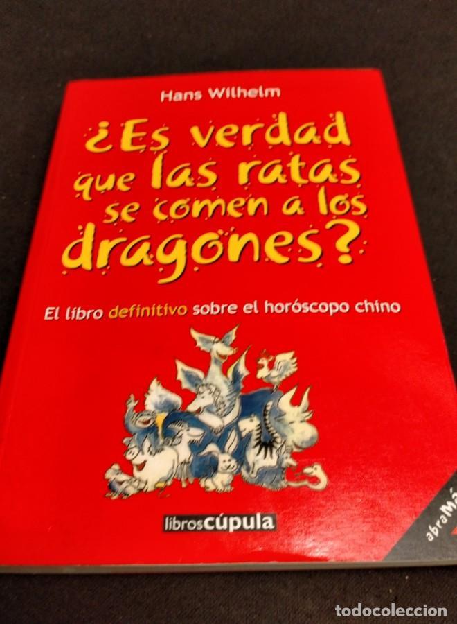 Libros: Hans Wilhelm - Es verdad que las ratas se comen a los dragones? - - Foto 1