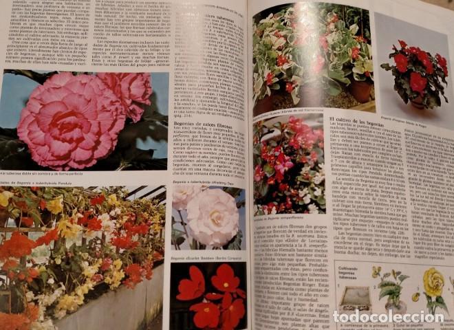 Libros: Wright - El jard&iacute;n en casa - - Foto 2