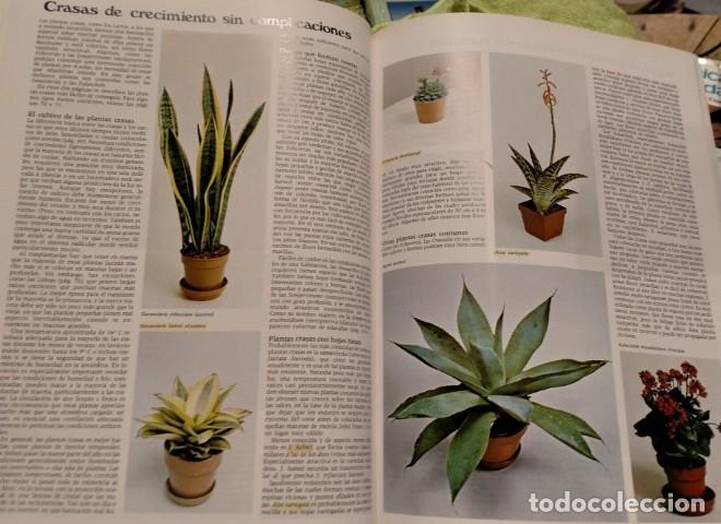 Libros: Wright - El jard&iacute;n en casa - - Foto 4