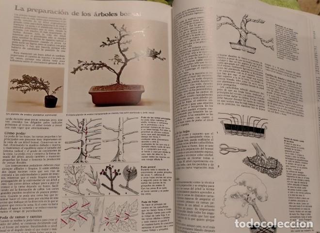 Libros: Wright - El jard&iacute;n en casa - - Foto 5