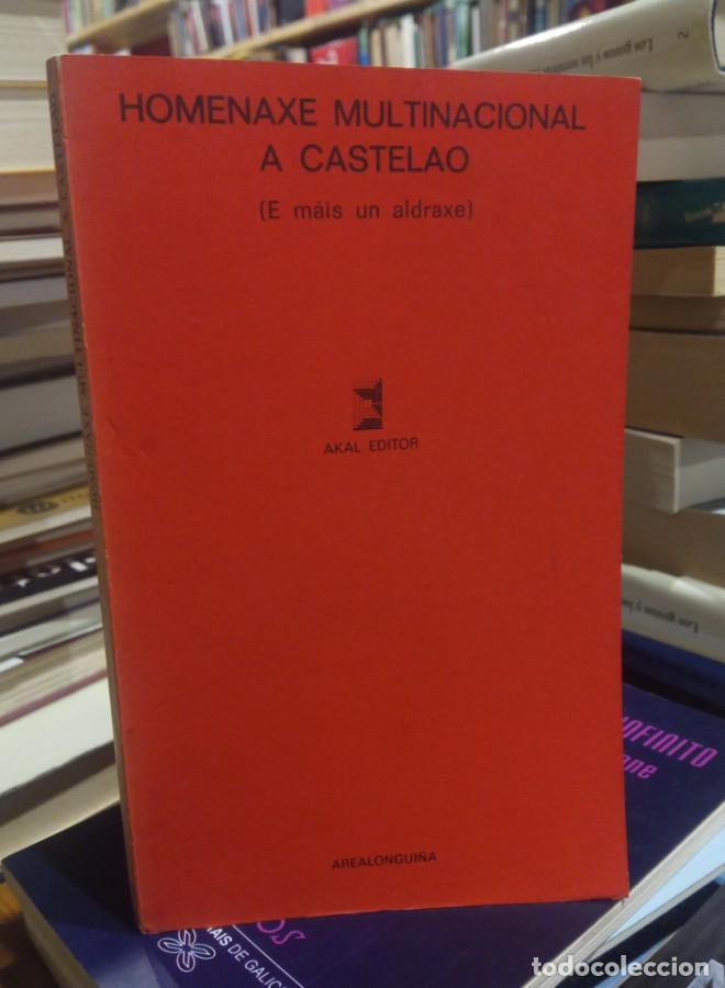 Libros: Homenaxe multinacional a Castelao - - Foto 1