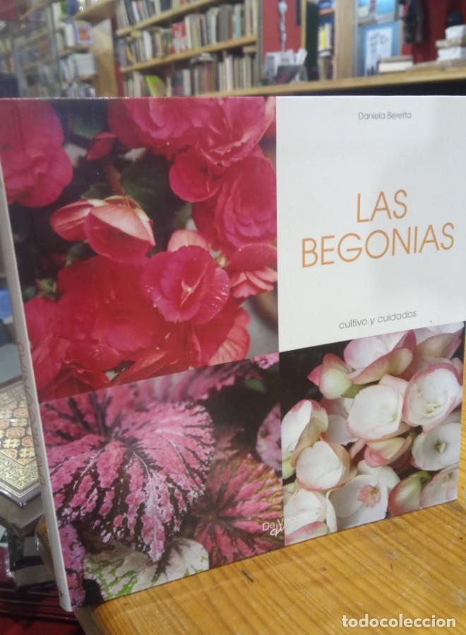 Libros: LAS BEGONIAS. DANIELA BERETTA - - Foto 1