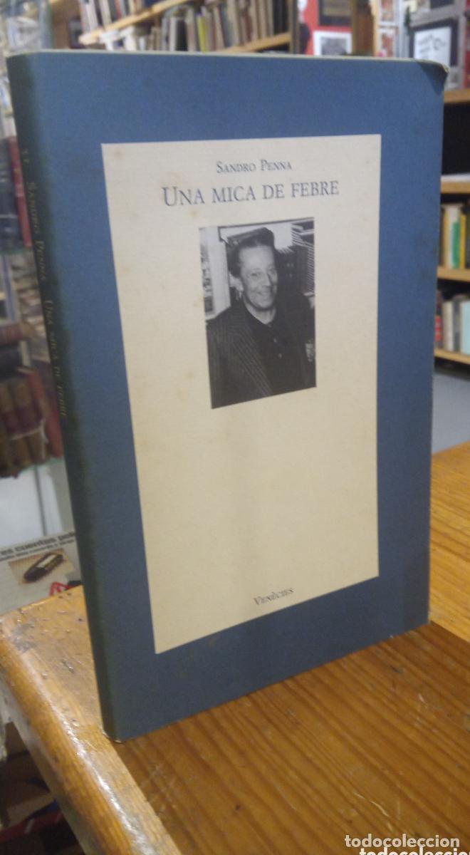 Libros: UNA MICA DE FEBRE. SANDRO PENNA 1992 - - Foto 1