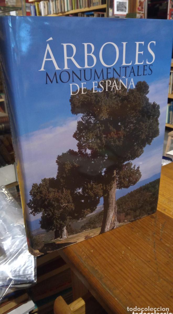 Libros: ARBOLES MONUMENTALES DE ESPA&Ntilde;A - - Foto 1