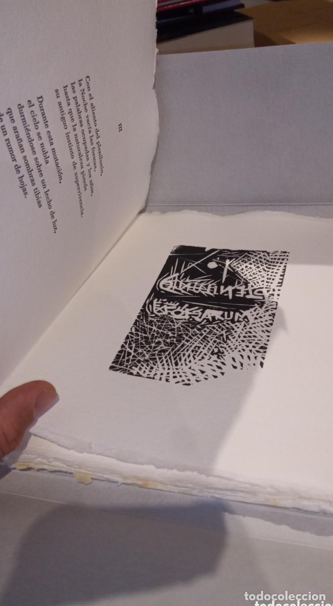 Libros: JORGE CASTILLO. MENENE GRAS BALAGUER - - Foto 3