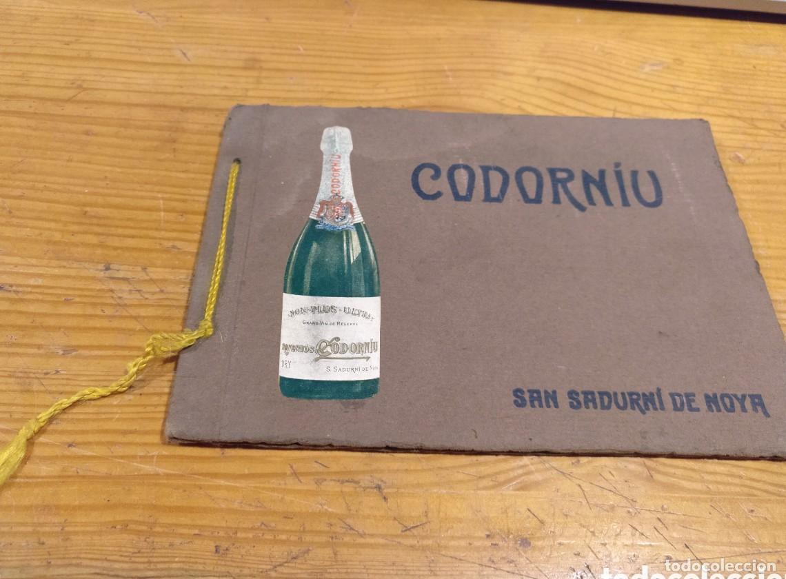 Libros: album-visita de las cavas Codorniu - - Foto 1