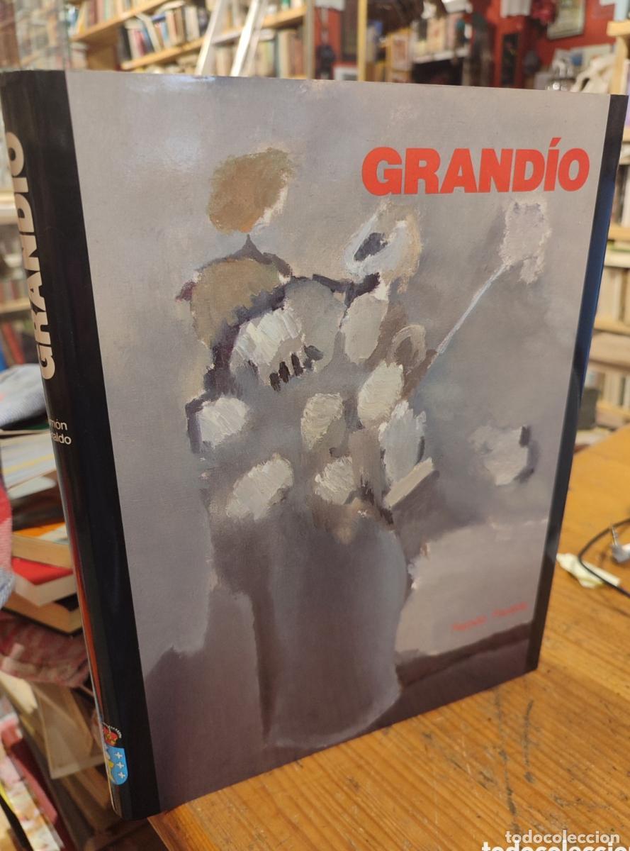 Libros: GRAND&Iacute;O. RAMON FARALDO - - Foto 1
