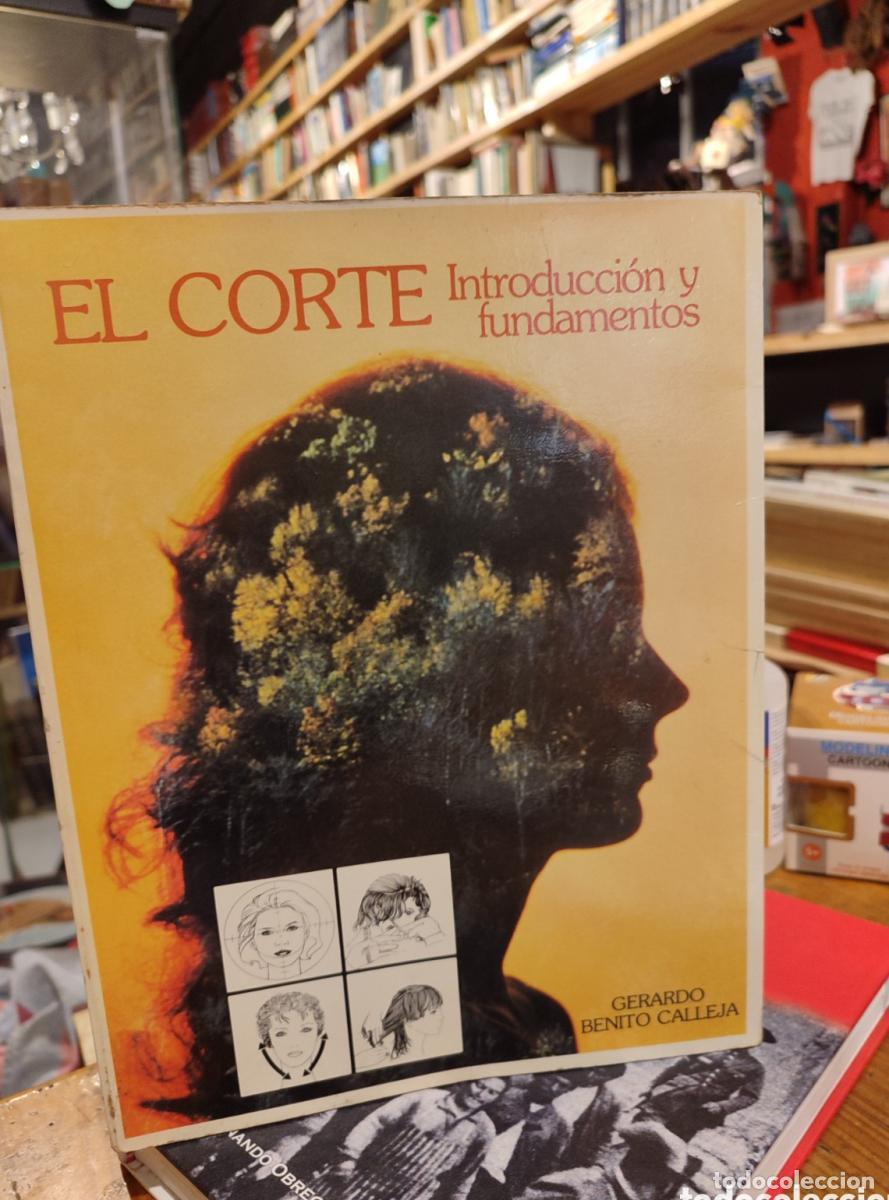 Libros: EL CORTE. INTRODUCCION Y FUNDAMENTOS. GERARDO BENITO CALLEJA. - - Foto 1