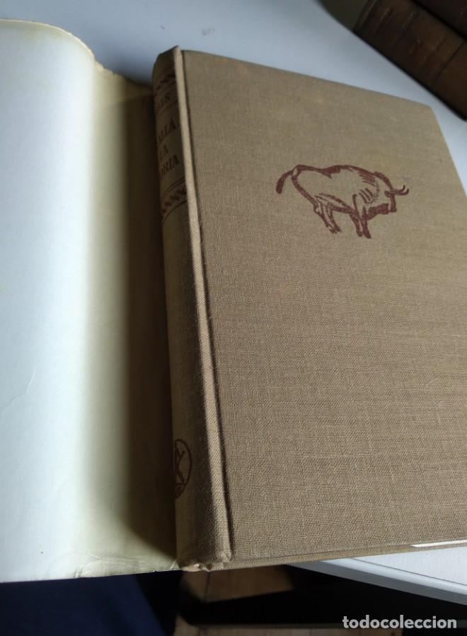 Libros: MAS ALL&Aacute; DE LA HISTORIA. WILLIAM HOWELLS - - Foto 4