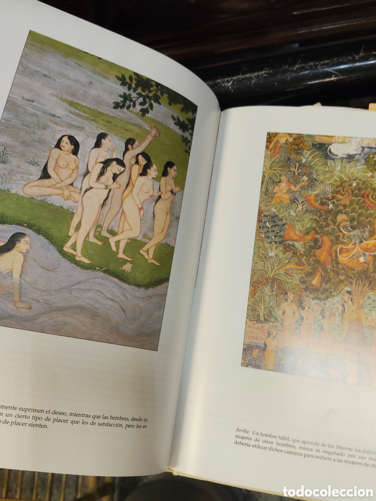 Libros: El Kamasutra de Vatstayana - Foto 3