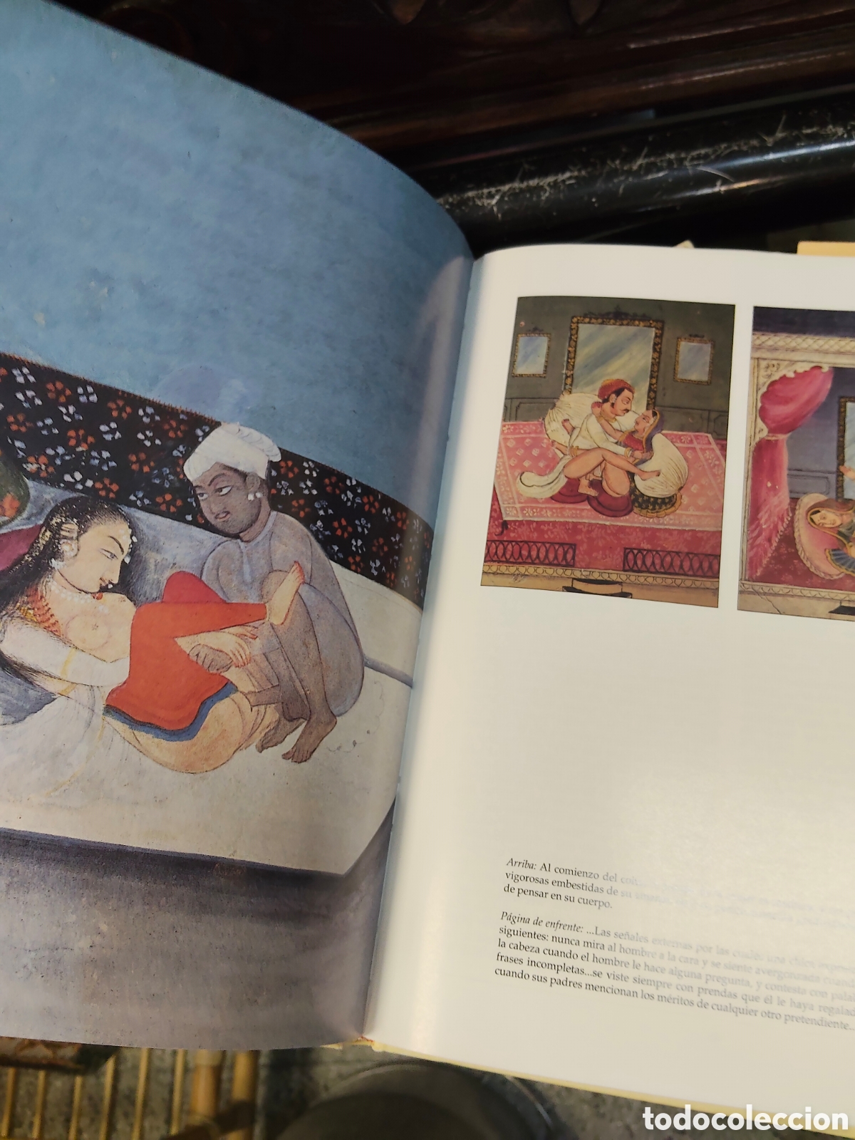Libros: El Kamasutra de Vatstayana - Foto 4
