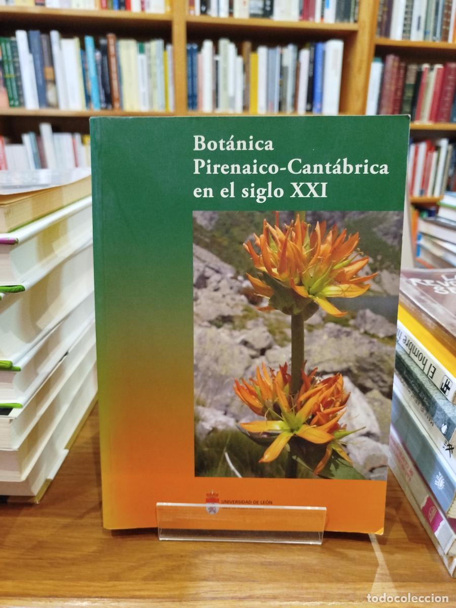 Libri di seconda mano: Bot&aacute;nica Pirenaico-Cant&aacute;brica en el siglo XXI - Llamas Garc&iacute;a, F&eacute;lix; Acedo, Carmen.