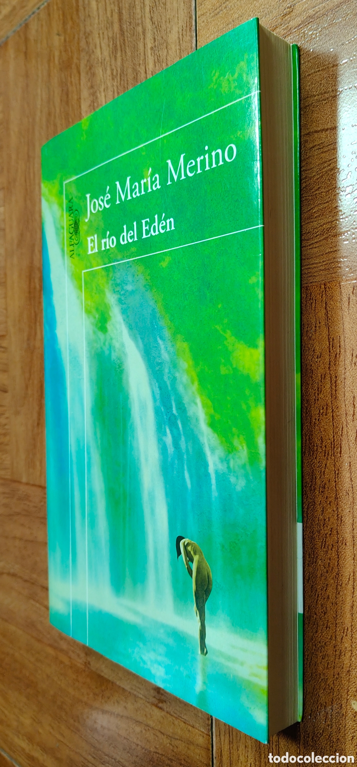 Libros: El R&iacute;o del Ed&eacute;n - Jos&eacute; Mar&iacute;a Merino - Foto 2