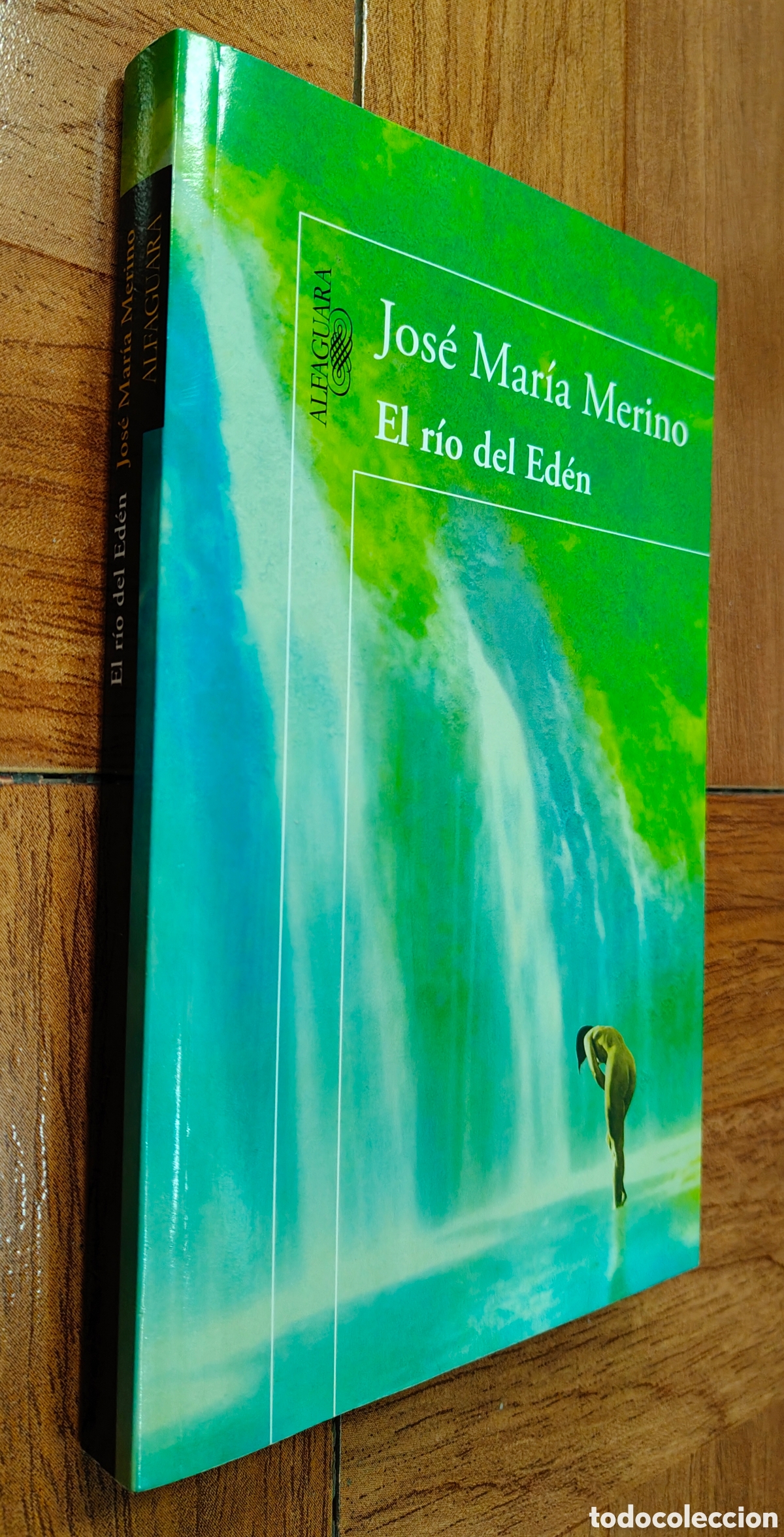 Libros: El R&iacute;o del Ed&eacute;n - Jos&eacute; Mar&iacute;a Merino - Foto 1
