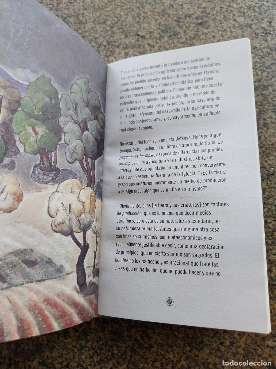 Libros: MEDIO AMBIENTE Y TERRITORIO -- LUIS BOADA -- - Foto 2