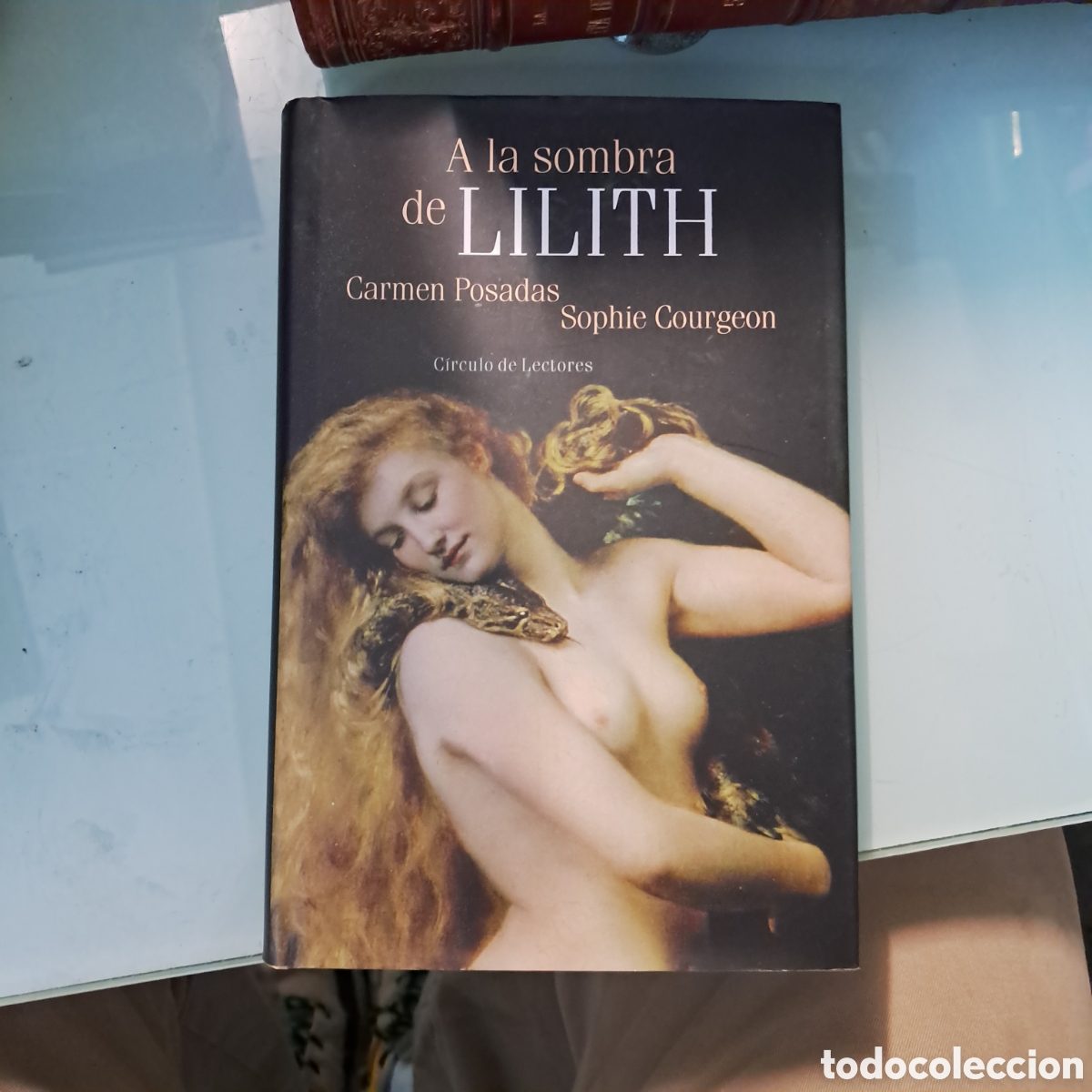 Libros: Carmen Posadas, A la sombra de Lilith, C&iacute;rculo de Lectores - Foto 1