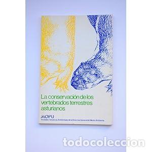 Libri di seconda mano: Conservaci&oacute;n de los vertebrados terrestres asturianos, la - tdk328 - Espa&ntilde;a. Dir. Gral. Medio Ambien