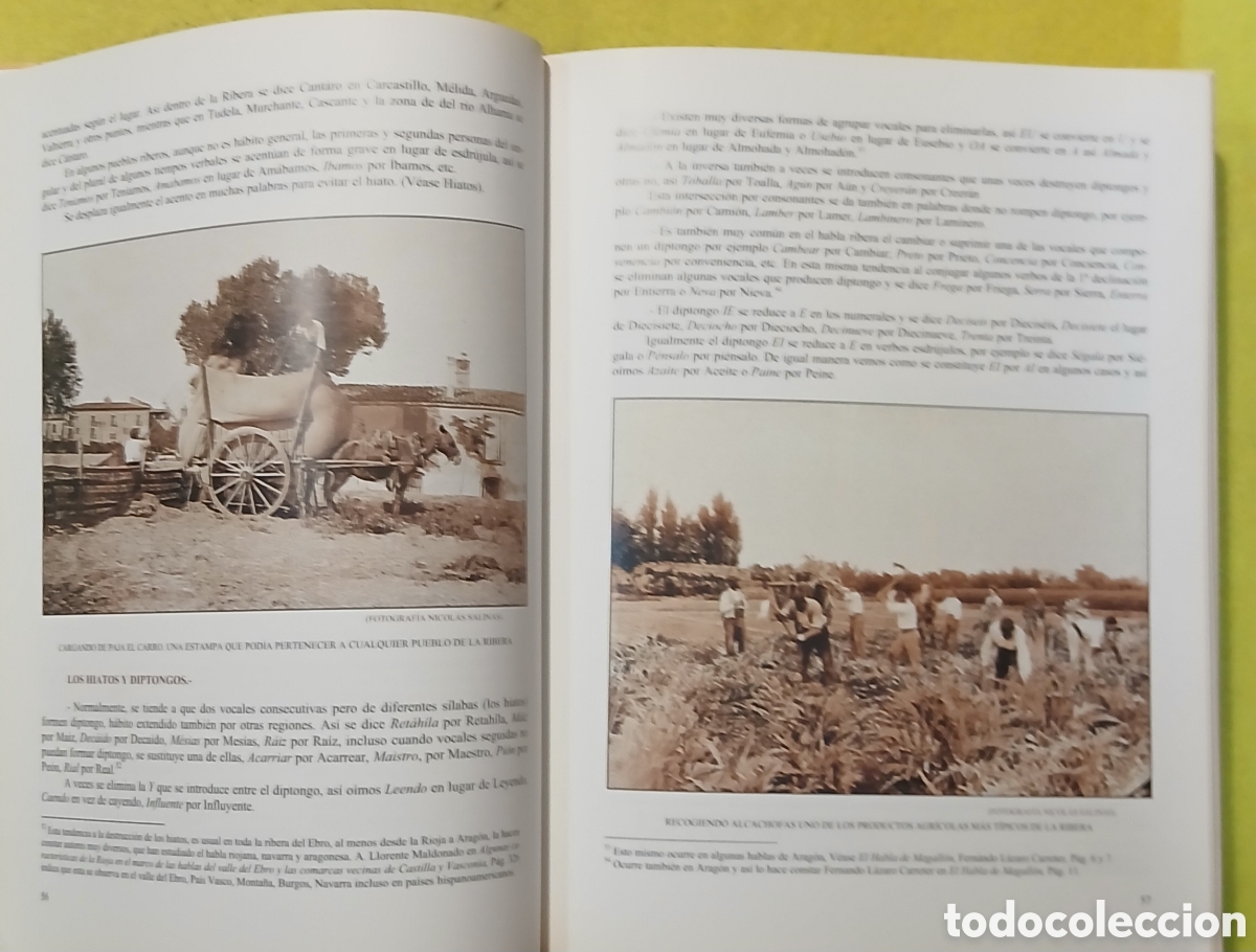 Libros: El habla en la ribera de Navarra - Foto 4