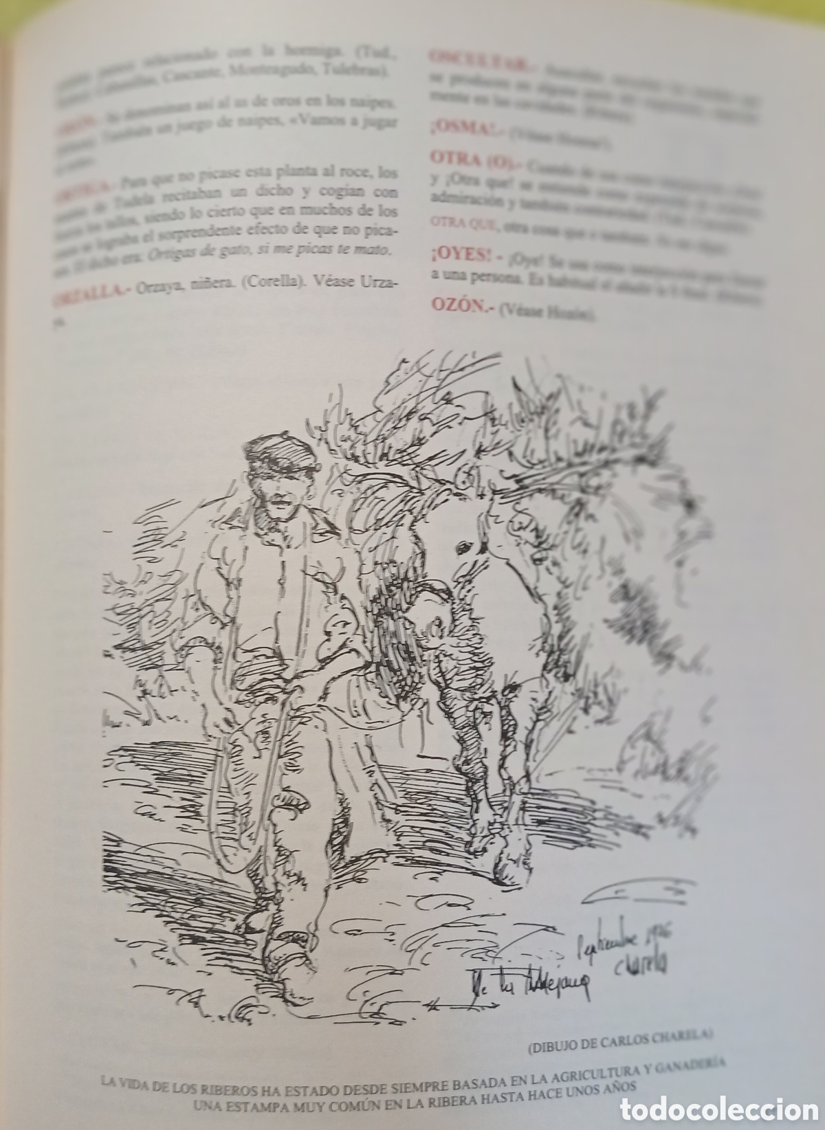 Libros: El habla en la ribera de Navarra - Foto 6