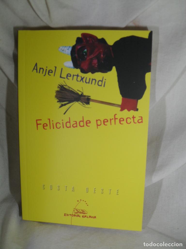 Libros: FELICIDADE PERFECTA - ANJEL LERTXUNDI - Foto 1