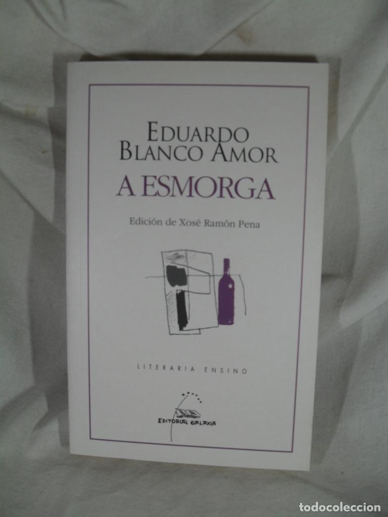 Libros: A ESMORGA - EDUARDO BLANCO AMOR - Foto 1