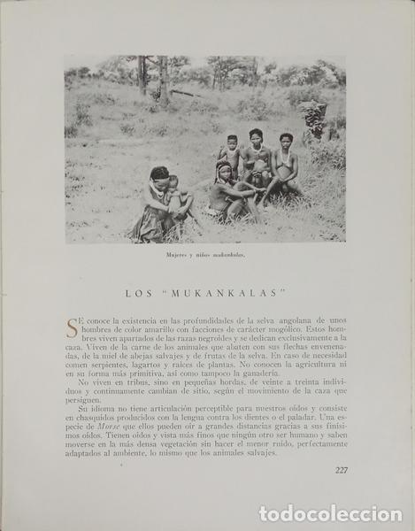 Libros: F&Eacute;NYK&Ouml;VI. (Jos&eacute;) - ANGOLA EN EL VISOR DEL RIFLE Y DE LA CAMARA. [SEM SOBRECAPA] - Foto 3