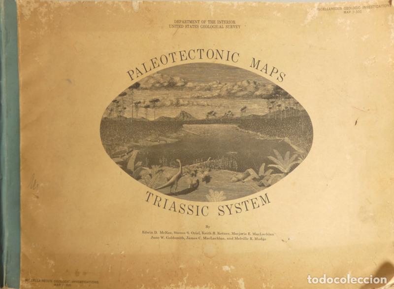 Libros: MCKEE. (Edwin D.) et al. - PALEOTECTONIC MAPS OF THE TRIASSIC SYSTEM. - Foto 1