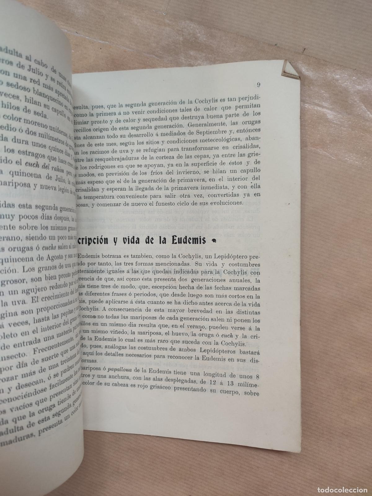 Libros: Instrucciones pr&aacute;cticas para reconocer y combatir las cochylis y la eudemis: cuch del rahim - Claudi - Foto 2
