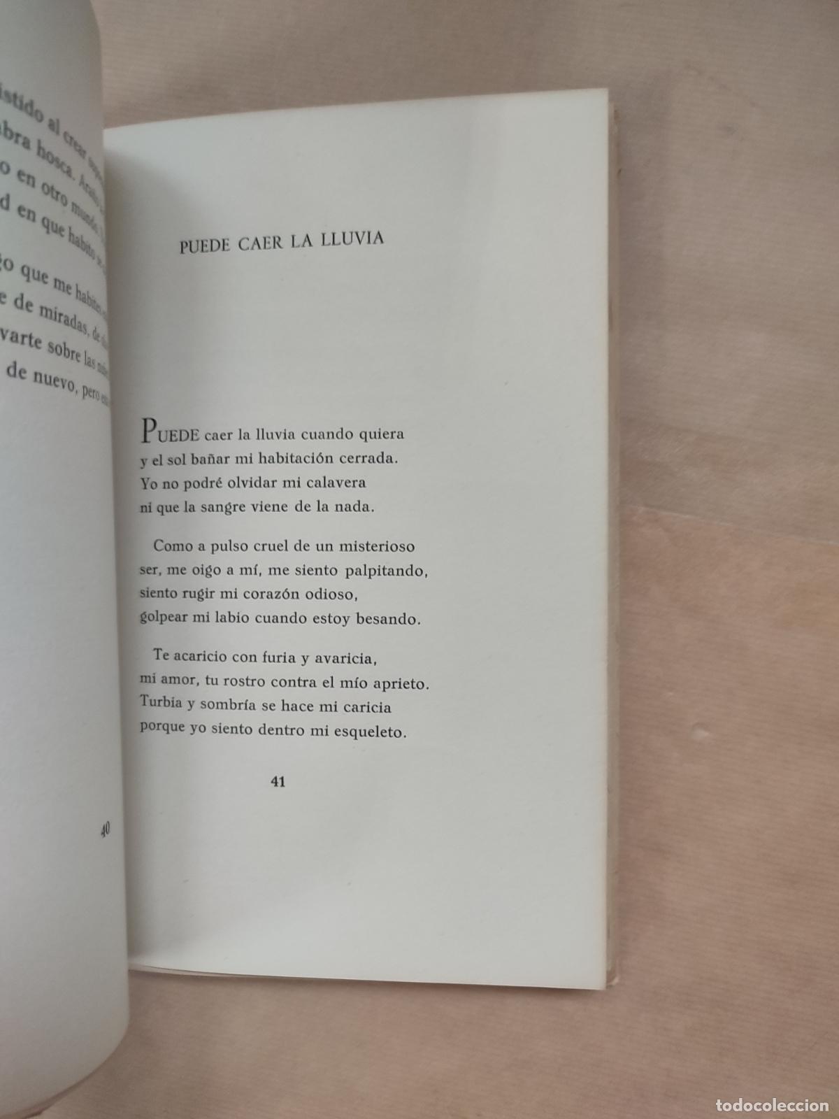 Libros: EL CAUCE DE LA NOCHE. POEMAS. - ARCADIO PARDO - Foto 3