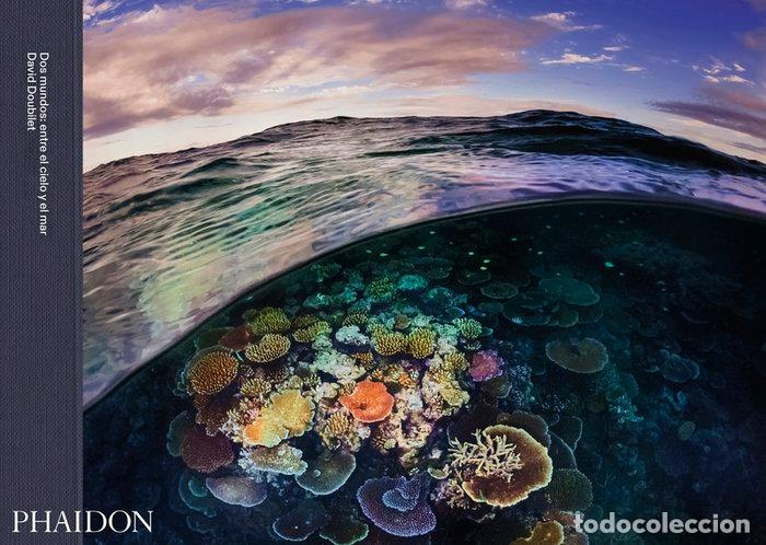 Libros: DOS MUNDOS ENTRE EL CIELO Y EL MAR - AA,VV - Foto 1