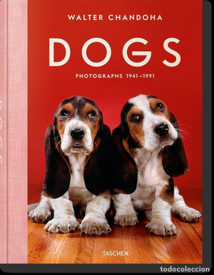 Libros: CHANDOHA DOGS - CHANDOHA, WALTER - Foto 1