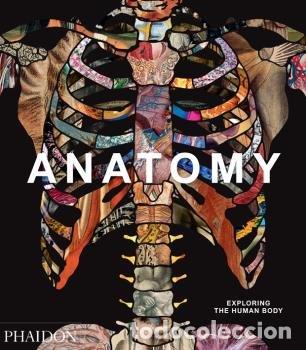Libros: ANATOMY EXPLORING THE HUMAN BODY - AA,VV - Foto 1