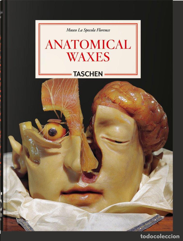 Libri di seconda mano: ANATOMICAL WAXES 45TH ED - POGGESI, MARTA