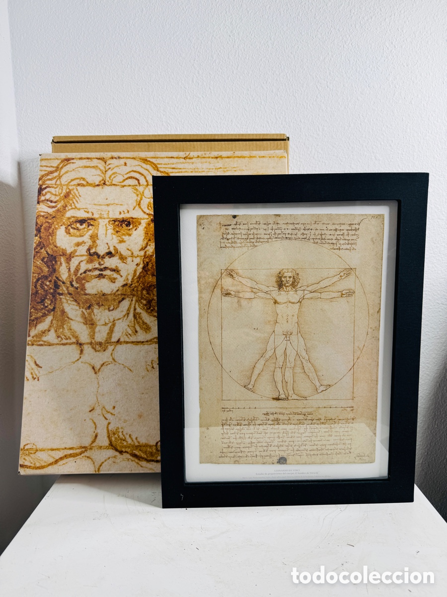 Libros: LEONARDO 500 &ndash; EL HOMBRE DE VITRUBIO. EDICI&Oacute;N LIMITADA DE LUJO - Foto 2