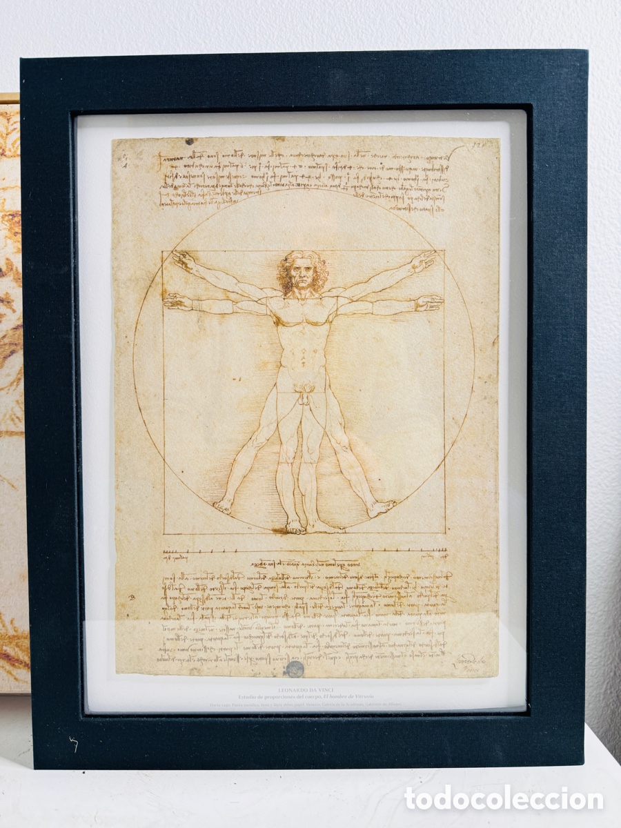 Libros: LEONARDO 500 &ndash; EL HOMBRE DE VITRUBIO. EDICI&Oacute;N LIMITADA DE LUJO - Foto 6