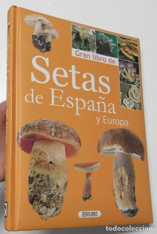 Libros: Gran libro de Setas de Espa&ntilde;a y Europa - - Foto 1