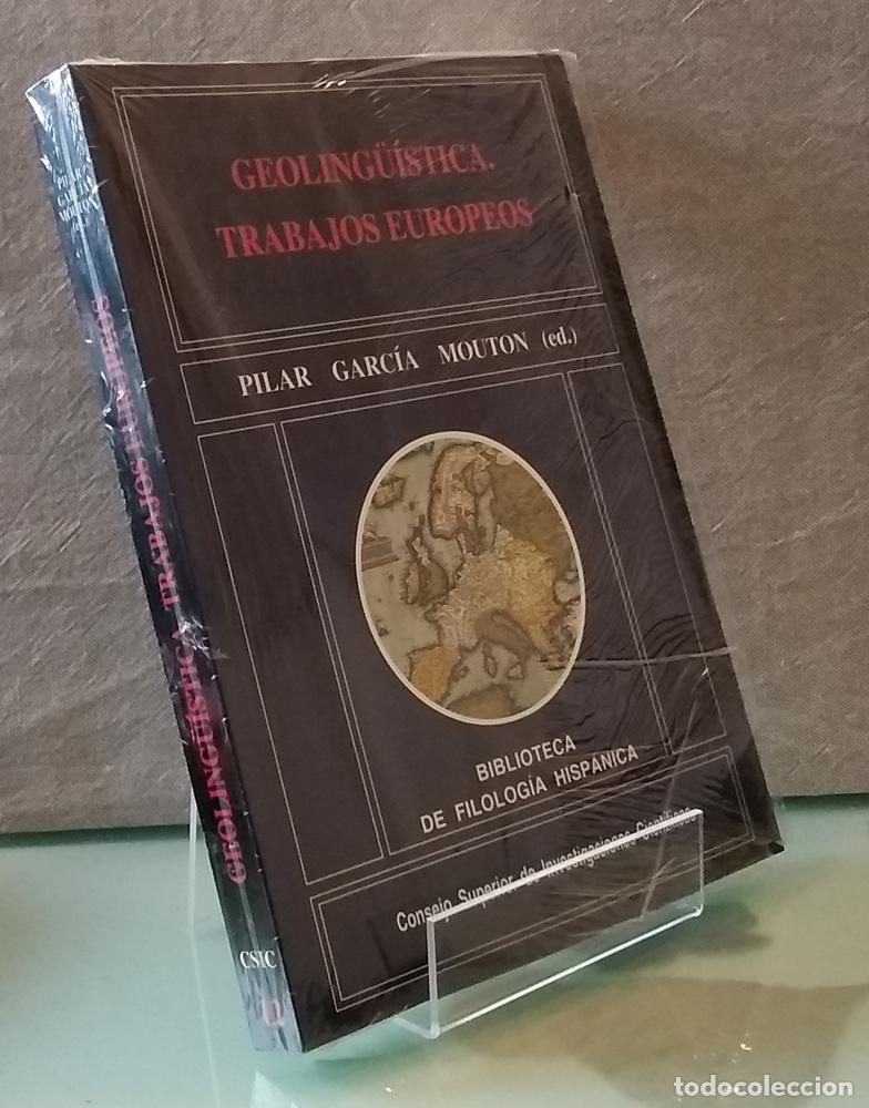 books: Geoling&uuml;&iacute;stica (NUEVO). Trabajos europeos - Pilar Garc&iacute;a Mouton (ed)