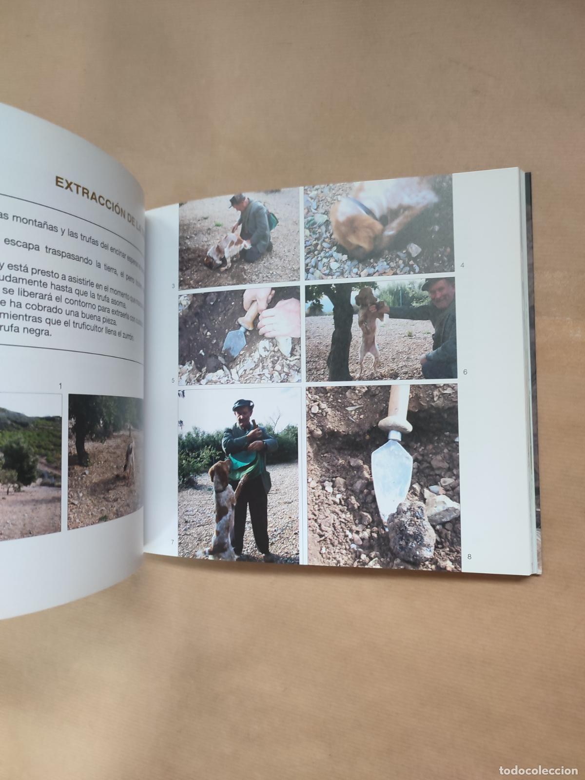 Libros: La trufa negra. - Chema Ferrer. - Foto 3