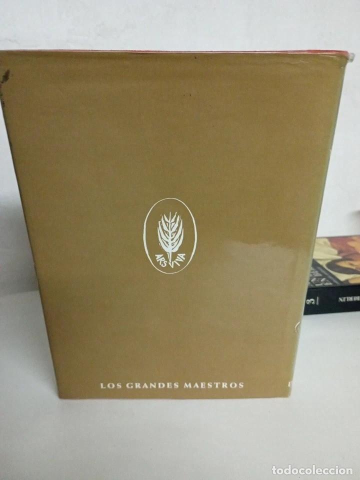 Libros: Van Gogh Daimon Libro Pierre cabanne - Foto 3