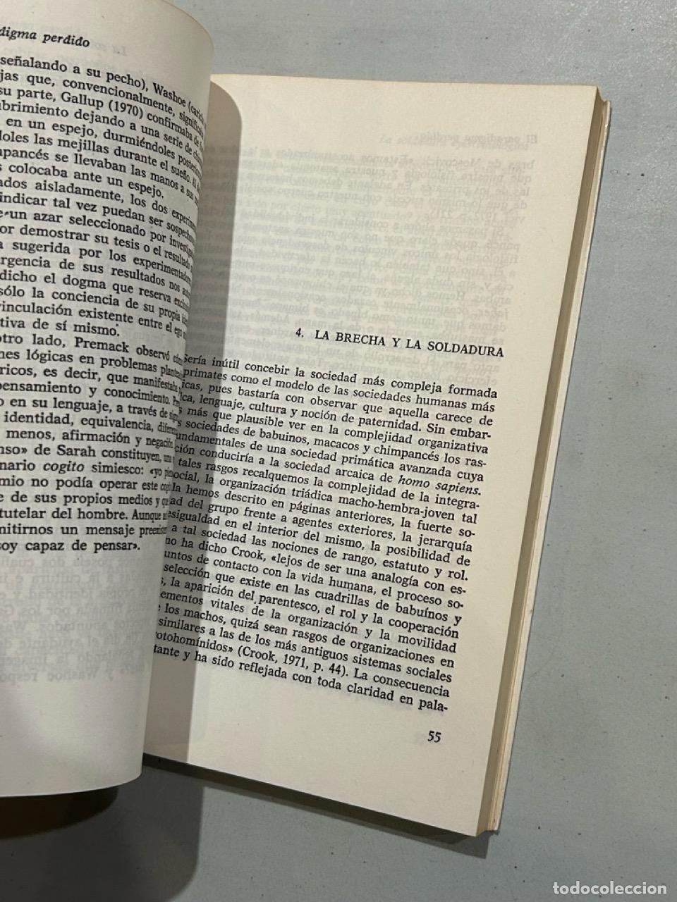 Libros: Edgar Morin - El paradigma perdido - Foto 2